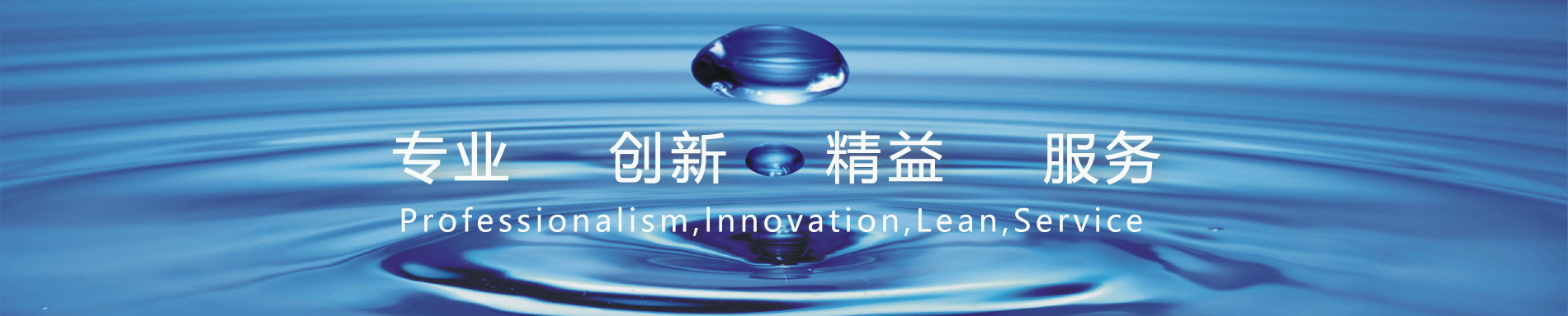 專業、創新、精益、服務